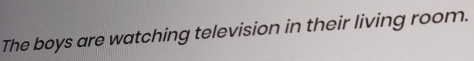 The boys are watching television in their living room.