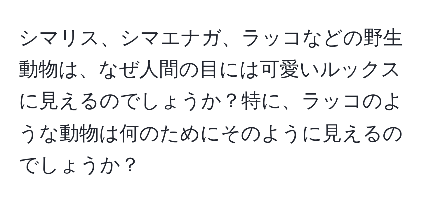 シマリス、シマエナガ、ラッコなどの野生動物は、なぜ人間の目には可愛いルックスに見えるのでしょうか？特に、ラッコのような動物は何のためにそのように見えるのでしょうか？