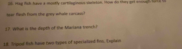 Hag fish have a mostly cartilaginous skeleton. How do they get enough force to 
tear flesh from the grey whale carcass? 
17. What is the depth of the Mariana trench? 
18. Tripod fish have two types of specialized fins. Explain