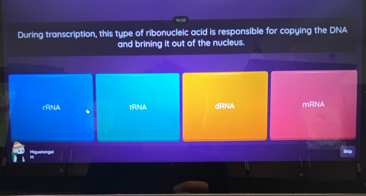 10/20
During transcription, this type of ribonucleic acid is responsible for copying the DNA
and brining it out of the nucleus.
rRNA tRNA dRNA mRNA
Miguelangel Skip