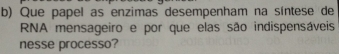 Que papel as enzimas desempenham na síntese de 
RNA mensageiro e por que elas são indispensáveis 
nesse processo?