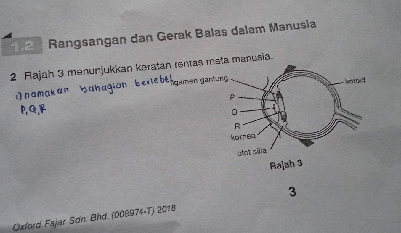 1 2 Rangsangan dan Gerak Balas dalam Manusia 
2 Rajah 3 menunjukkan keratan rentas mata manusia. 
gamen gant 
3 
Oxford Fajar Sdn. Bhd. (008974-T) 2018