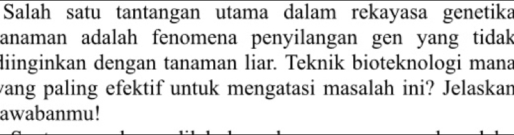 Salah satu tantangan utama dalam rekayasa genetika 
anaman adalah fenomena penyilangan gen yang tidak 
diinginkan dengan tanaman liar. Teknik bioteknologi mana 
wang paling efektif untuk mengatasi masalah ini? Jelaskan 
awabanmu!