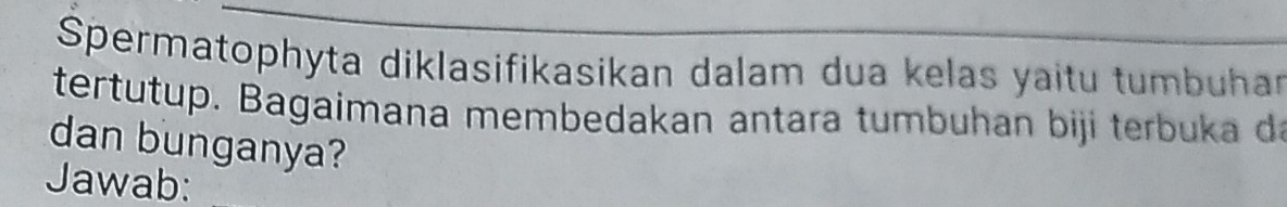 Spermatophyta diklasifikasikan dalam dua kelas yaitu tumbuhar 
tertutup. Bagaimana membedakan antara tumbuhan biji terbuka da 
dan bunganya? 
Jawab: