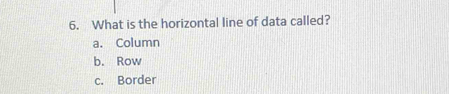 What is the horizontal line of data called?
a. Column
b. Row
c. Border