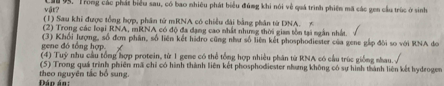 Cl 95. Trong các phát biểu sau, có bao nhiêu phát biểu đúng khi nói về quá trình phiên mã các gen cầu trúc ở sinh
vật?
(1) Sau khi được tổng hợp, phân tử mRNA có chiều dài bằng phân tử DNA.
(2) Trong các loại RNA, mRNA có độ đa dạng cao nhất nhưng thời gian tồn tại ngắn nhất.
(3) Khối lượng, số đơn phân, số liên kết hidro cũng như số liên kết phosphodiester của gene gấp đôi so với RNA do
gene đó tổng hợp.
(4) Tuỳ nhu cầu tổng hợp protein, từ 1 gene có thể tổng hợp nhiều phân tử RNA có cầu trúc giống nhau.
(5) Trong quá trình phiên mã chỉ có hình thành liên kết phosphodiester nhưng không có sự hình thành liên kết hydrogen
theo nguyên tắc bổ sung.
Đáp án: