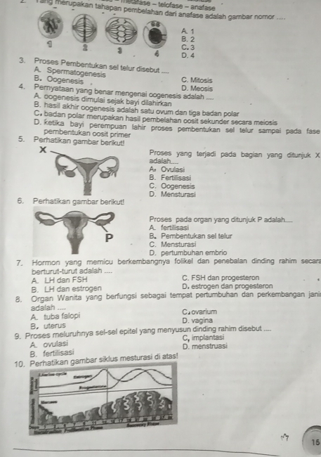 Motatase - telofase - anafase
l ang merupakan tahapaanafase adalah gambar nomor ....
A 1
B. 2
C. 3
D. 4
3. Proses Pembentukan sel telur disebut
A. Spermatogenesis
B.  Oogenesis D. Meosis C. Mitosis
4. Pernyataan yang benar mengenai oogenesis adalah ...,
A. oogenesis dimulai sejak bayi dilahirkan
B. hasil akhir oogenesis adalah satu ovum dan tiga badan polar
Cy badan polar merupakan hasil pembelahan oosit sekunder secara meiosis
D. ketika bayi perempuan lahir proses pembentukan sel telur sampai pada fase
pembentukan oosit primer
5. Perhatikan gambar berikut!
Proses yang terjadi pada bagian yang ditunjuk X
adalah....
A Ovulasi
B. Fertilisasi
C. Oogenesis
D. Mensturasi
6. Perhatikan gambar berikut!
Proses pada organ yang ditunjuk P adalah....
A. fertilisasi
B. Pembentukan sel telur
C. Mensturasi
D. pertumbuhan embrio
7. Hormon yang memicu berkembangnya folikel dan penebalan dinding rahim secara
berturut-turut adalah
A. LH dan FSH C. FSH dan progesteron
B. LH dan estrogen D. estrogen dan progesteron
8, Organ Wanita yang berfungsi sebagai tempat pertumbuhan dan perkembangan jani
adalah ....
A. tuba falopi Crovarium
B. uterus D. vagina
9. Proses meluruhnya sel-sel epitel yang menyusun dinding rahim disebut ....
A. ovulasi C implantasi
B. fertilisasi D. menstruasi
10. Perhatikan gambar siklus mesturasi di atas!
_
15