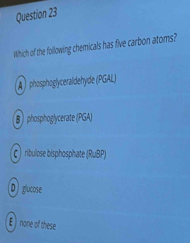 Which of the following chemicals has five carbon atoms?
A phosphoglyceraldehyde (PGAL)
B ) phosphoglycerate (PGA)
C ribulose bisphosphate (RuBP)
D) giucose
E ) none of these