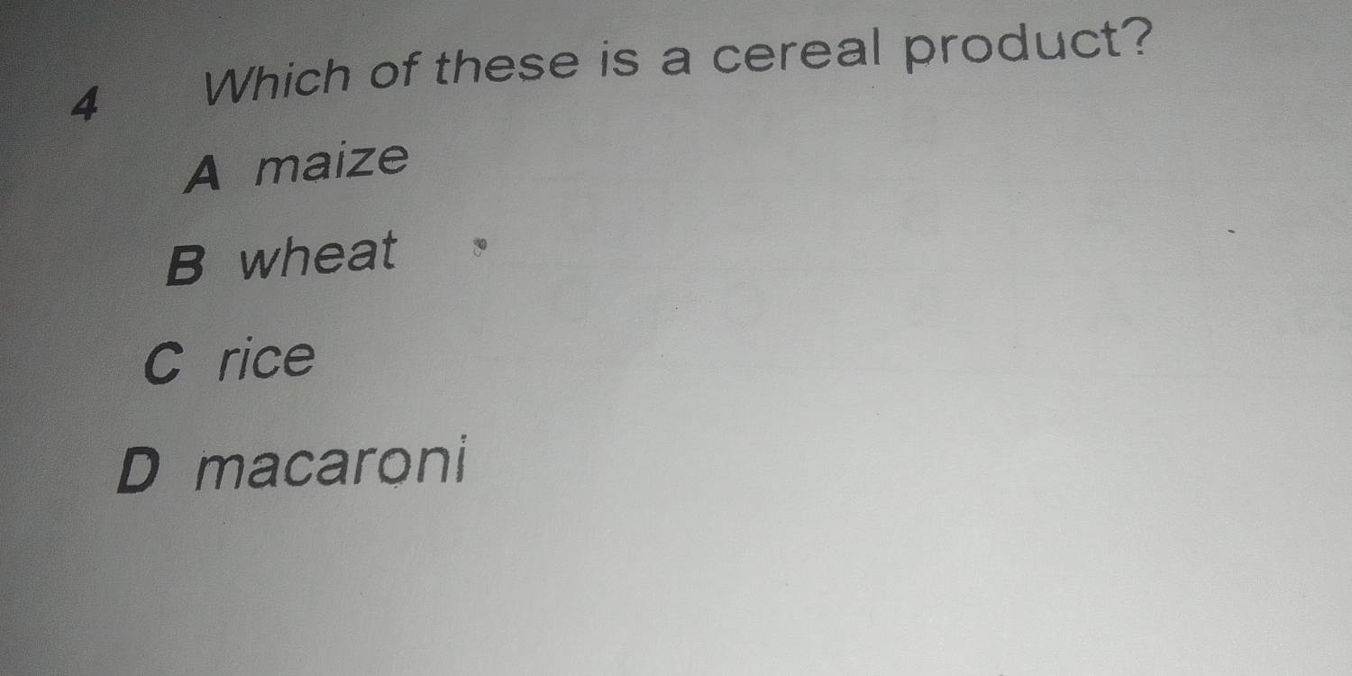 Which of these is a cereal product?
A maize
B wheat
C rice
D macaroni