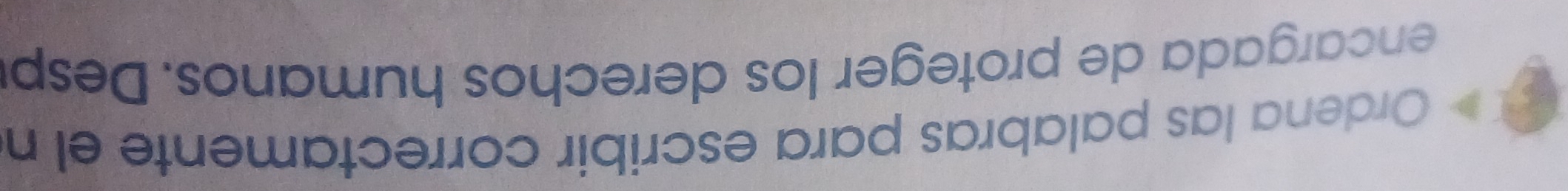 Ordena las palabras para escribir correctamente el n 
en cargada de proteger los derechos humanos. Desp