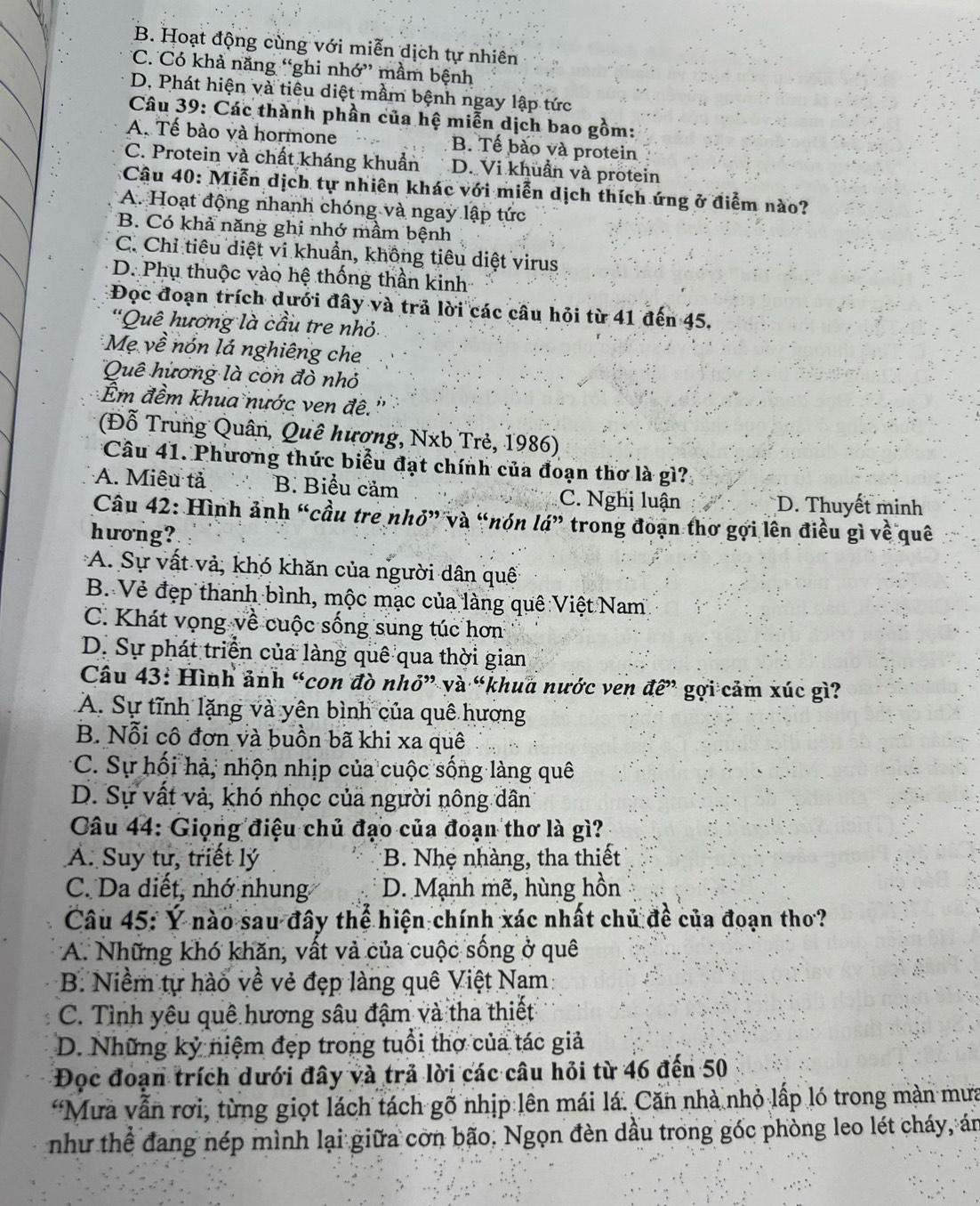 B. Hoạt động cùng với miễn dịch tự nhiên
*C. Có khả năng “ghi nhớ” mầm bệnh
D. Phát hiện và tiêu diệt mầm bệnh ngay lập tức
Câu 39: Các thành phần của hệ miễn dịch bao gồm:
A. Tế bào và hormone B. Tế bào và protein
C. Protein và chất kháng khuẩn D. Vi khuẩn và protein
Cậu 40: Miễn dịch tự nhiên khác với miễn dịch thích ứng ở điểm nào?
A. Hoạt động nhanh chóng và ngay lập tức
B. Có khả năng ghi nhớ mầm bệnh
C. Chỉ tiêu diệt vi khuẩn, không tiêu diệt virus
D. Phụ thuộc vào hệ thống thần kinh
Đọc đoạn trích dưới đây và trả lời các câu hỏi từ 41 đến 45.
'Quê hương là cầu tre nhỏ:
* Mẹ về nón lá nghiêng che
Quê hương là con đồ nhỏ
Êm đềm khua nước ven đê.''
(Đỗ Trung Quân, Quê hương, Nxb Trẻ, 1986)
*Cầu 41. Phương thức biểu đạt chính của đoạn thơ là gì?
A. Miêu tả B. Biểu cảm C. Nghị luận D. Thuyết minh
Câu 42: Hình ảnh “cầu tre nhỏ” và “nón la'' trong đoạn thơ gợi lên điều gì về quê
huơng?
A. Sự vất và, khó khăn của người dân quế
B. Vẻ đẹp thanh bình, mộc mạc của làng quê Việt Nam
C. Khát vọng về cuộc sống sung túc hơn
D. Sự phát triển của làng quê qua thời gian
Câu 43: Hình ảnh “con đò nhỏ” và “khua nước ven vector a gợi cảm xúc gì?
A. Sự tĩnh lặng và yên bình của quê hương
B. Nỗi cô đơn và buồn bã khi xa quê
*C. Sự hối hả, nhộn nhịp của cuộc sống làng quê
D. Sự vất và, khó nhọc của người nông dân
Câu 44: Giọng điệu chủ đạo của đoạn thơ là gì?
A. Suy tư, triết lý B. Nhẹ nhàng, tha thiết
C. Da diết, nhớ nhung D. Mạnh mẽ, hùng hồn
Câu 45: Ý nào sau đây thể hiện chính xác nhất chủ đề của đoạn tho?
A. Những khó khăn, vất và của cuộc sống ở quê
B. Niềm tự hào về vẻ đẹp làng quê Việt Nam
C. Tình yêu quê hương sâu đậm và tha thiết
D. Những kỷ niệm đẹp trong tuổi thợ của tác giả
Đọc đoạn trích dưới đây và trả lời các câu hỏi từ 46 đến 50
*Mưa vẫn rơi, từng giọt lách tách gõ nhịp lên mái lá. Căn nhà nhỏ lấp ló trong màn mưa
như thể đang nép mình lại giữa cờn bão. Ngọn đèn dầu trong gốc phòng leo lét cháy, án