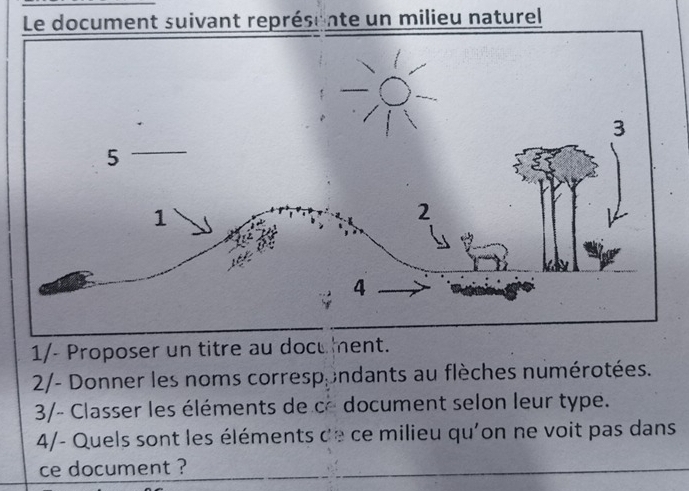 Le document suivant représente un milieu naturel 
1/- Proposer un titre au document. 
2/- Donner les noms correspondants au flèches numérotées. 
3/- Classer les éléments de c-document selon leur type. 
4/- Quels sont les éléments de ce milieu qu'on ne voit pas dans 
ce document ?