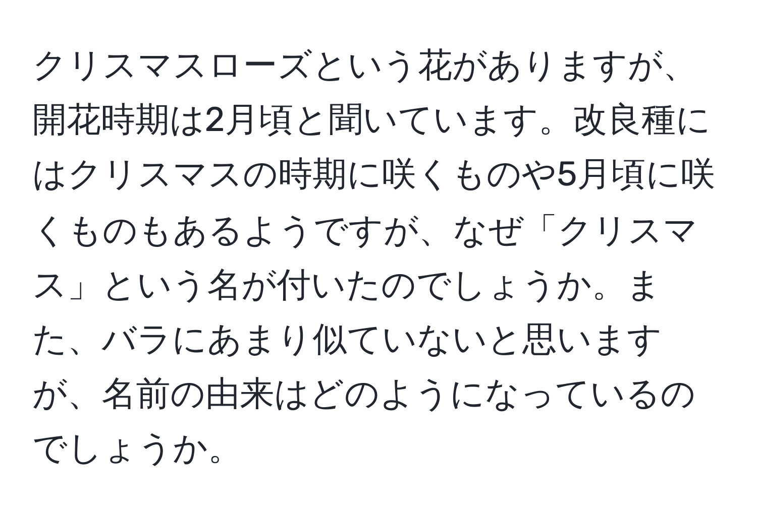 クリスマスローズという花がありますが、開花時期は2月頃と聞いています。改良種にはクリスマスの時期に咲くものや5月頃に咲くものもあるようですが、なぜ「クリスマス」という名が付いたのでしょうか。また、バラにあまり似ていないと思いますが、名前の由来はどのようになっているのでしょうか。