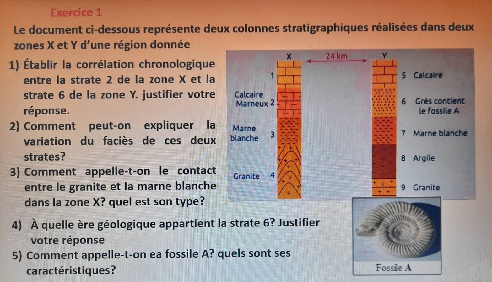 Le document ci-dessous représente deux colonnes stratigraphiques réalisées dans deux 
zones X et Y d’une région donnée 
1) Établir la corrélation chronologique 
entre la strate 2 de la zone X et la 
strate 6 de la zone Y. justifier votre 
réponse. 
2) Comment peut-on expliquer la 
variation du faciès de ces deux 
strates? 
3) Comment appelle-t-on le contact 
entre le granite et la marne blanche 
dans la zone X? quel est son type? 
4) À quelle ère géologique appartient 
votre réponse 
5) Comment appelle-t-on ea fossile A? 
caractéristiques? 
Fossile A