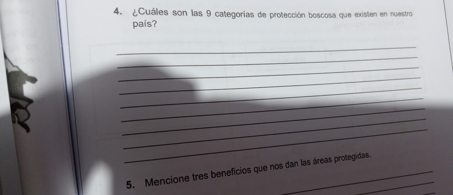 ¿Cuáles son las 9 categorías de protección boscosa que existen en nuestro 
país? 
_ 
_ 
_ 
_ 
_ 
_ 
_ 
_ 
_ 
5. Mencione tres beneficios que nos dan las áreas protegidas. 
_