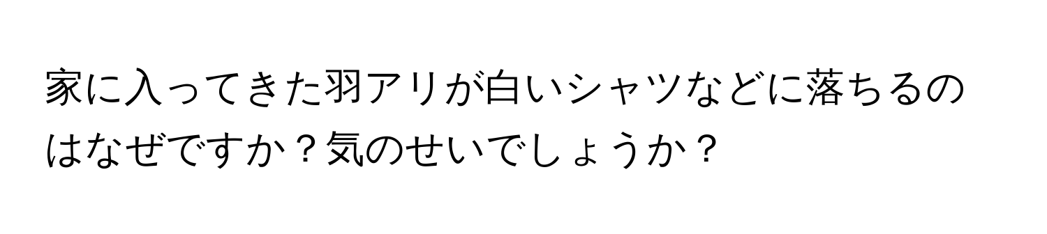 家に入ってきた羽アリが白いシャツなどに落ちるのはなぜですか？気のせいでしょうか？