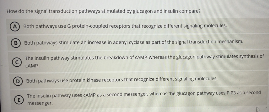 Resuelto:How do the signal transduction pathways stimulated by glucagon ...