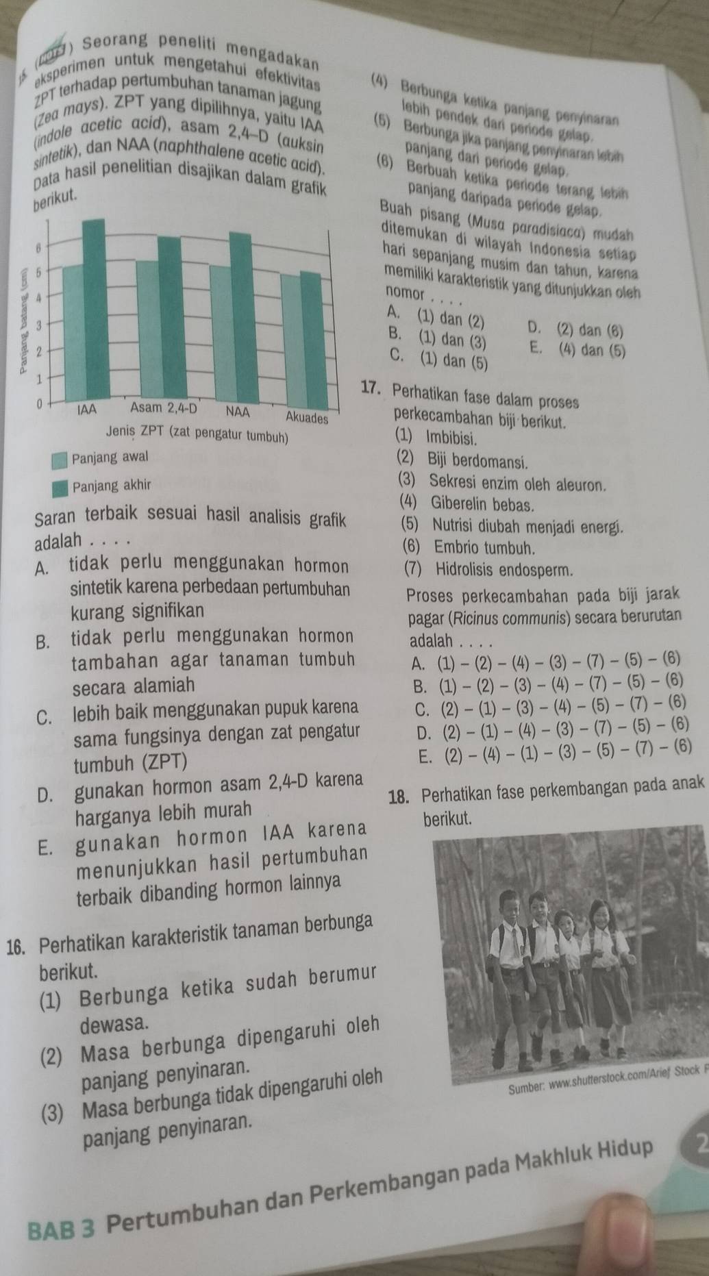 () Seorang peneliti mengadakan
tumbuhan tanaman jagung
(Zea mays). zPT terhadal eksperimen untuk mengetahui efektivitas (4) Berbunga ketika panjang penyinaran
lebih pendek dari periode gelap.
ZPT yang dipilihnya, yaitu IAA (5) Berbunga jika panjang penyinaran lebih
(indole acetic acid), asam 2,4-D (auksin
panjang dari periode gelap.
sintetik), dan NAA (naphthalene acetic acid). (6) Berbuah ketika periode terang lebih
Data hasil penelitian disajikan dalam grafik
berikut.
panjang daripada periode gelap.
Buah pisang (Musα paradisiaca) mudah
ditemukan di wilayah Indonesia setiap
hari sepanjang musim dan tahun, karena
memiliki karakteristik yang ditunjukkan oleh
nomor . . . .
A. (1) dan (2) D. (2) dan (6)
B. (1) dan (3) E. (4) dan (5)
C. (1) dan (5)
. Perhatikan fase dalam proses
perkecambahan biji berikut.
(1) Imbibisi.
Panjang awal (2) Biji berdomansi.
Panjang akhir
(3) Sekresi enzim oleh aleuron.
(4) Giberelin bebas.
Saran terbaik sesuai hasil analisis grafik (5) Nutrisi diubah menjadi energi.
adalah . . . . (6) Embrio tumbuh.
A. tidak perlu menggunakan hormon (7) Hidrolisis endosperm.
sintetik karena perbedaan pertumbuhan Proses perkecambahan pada biji jarak
kurang signifikan
pagar (Ricinus communis) secara berurutan
B. tidak perlu menggunakan hormon adalah_
tambahan agar tanaman tumbuh A. (1)-(2)-(4)-(3)-(7)-(5)-(6)
secara alamiah B. (1)-(2)-(3)-(4)-(7)-(5)-(6)
C. lebih baik menggunakan pupuk karena C. (2)-(1)-(3)-(4)-(5)-(7)-(6)
sama fungsinya dengan zat pengatur D. (2)-(1)-(4)-(3)-(7)-(5)-(6)
tumbuh (ZPT)
E. (2)-(4)-(1)-(3)-(5)-(7)-(6)
D. gunakan hormon asam 2,4-D karena
harganya lebih murah 18. Perhatikan fase perkembangan pada anak
E. gunakan hormon IAA karena
menunjukkan hasil pertumbuhan
terbaik dibanding hormon lainnya
16. Perhatikan karakteristik tanaman berbunga
berikut.
(1) Berbunga ketika sudah berumur
dewasa.
(2) Masa berbunga dipengaruhi oleh
panjang penyinaran.
(3) Masa berbunga tidak dipengaruhi oleh
panjang penyinaran. Sumber: www.shutterstock.com/Arief Stock 
BAB 3 Pertumbuhan dan Perkembangan pada Makhluk Hidup 2