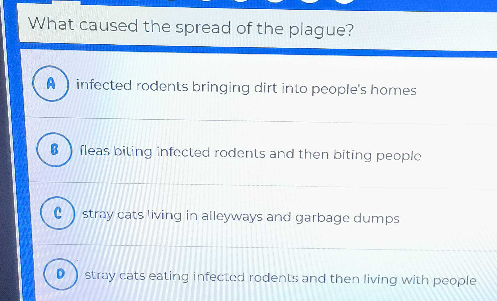 What caused the spread of the plague?
infected rodents bringing dirt into people's homes
B  fleas biting infected rodents and then biting people
stray cats living in alleyways and garbage dumps
D ) stray cats eating infected rodents and then living with people