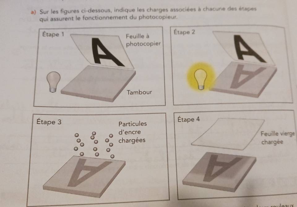 Sur les figures ci-dessous, indique les charges associées à chacune des étapes 
qui assurent le fonctionnement du photocopieur. 
Étape 4 
Feuille vierge 
chargée