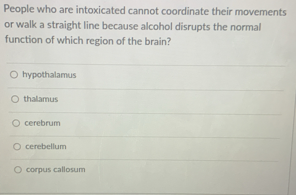 People who are intoxicated cannot coordinate their movements
or walk a straight line because alcohol disrupts the normal
function of which region of the brain?
hypothalamus
thalamus
cerebrum
cerebellum
corpus callosum