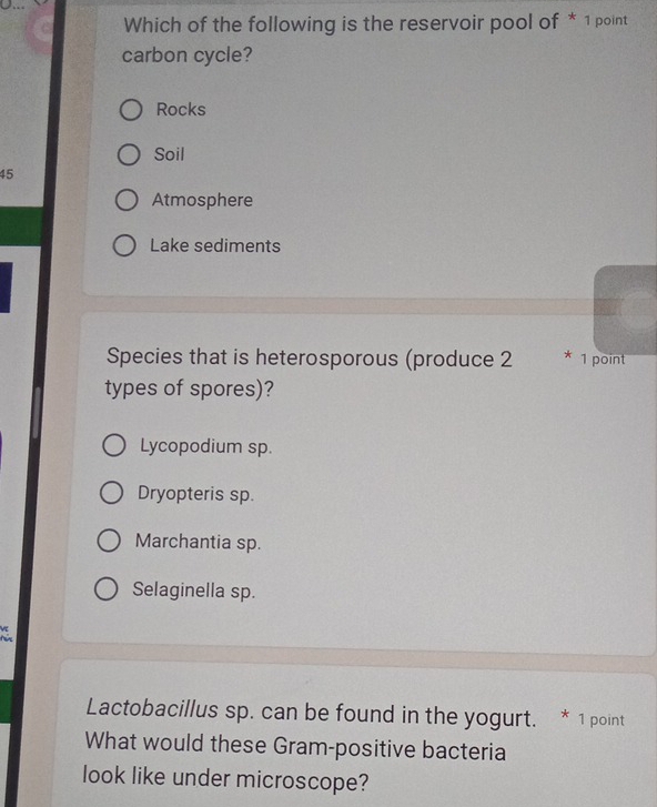 Which of the following is the reservoir pool of * 1 point
carbon cycle?
Rocks
Soil
45
Atmosphere
Lake sediments
Species that is heterosporous (produce 2 * 1 point
types of spores)?
Lycopodium sp.
Dryopteris sp.
Marchantia sp.
Selaginella sp.
V
for
Lactobacillus sp. can be found in the yogurt. * 1 point
What would these Gram-positive bacteria
look like under microscope?