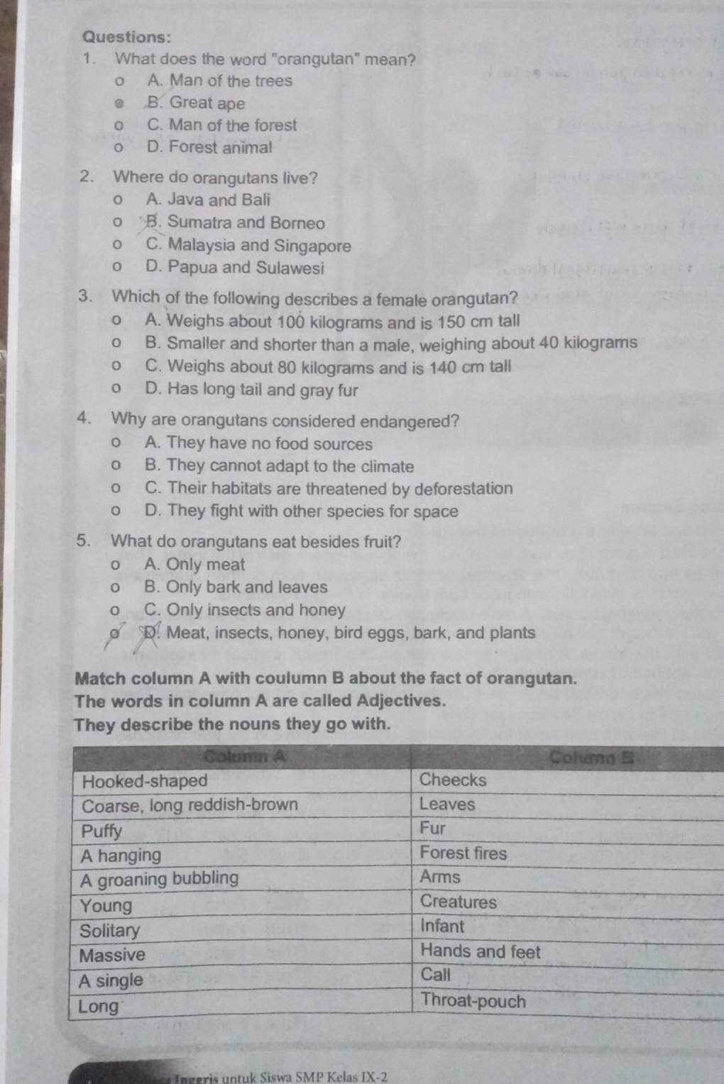 What does the word "orangutan" mean?
A. Man of the trees
B. Great ape
C. Man of the forest
D. Forest animal
2. Where do orangutans live?
A. Java and Bali
B. Sumatra and Borneo
C. Malaysia and Singapore
D. Papua and Sulawesi
3. Which of the following describes a female orangutan?
A. Weighs about 100 kilograms and is 150 cm tall
B. Smaller and shorter than a male, weighing about 40 kilograms
C. Weighs about 80 kilograms and is 140 cm tall
D. Has long tail and gray fur
4. Why are orangutans considered endangered?
A. They have no food sources
B. They cannot adapt to the climate
C. Their habitats are threatened by deforestation
D. They fight with other species for space
5. What do orangutans eat besides fruit?
A. Only meat
B. Only bark and leaves
C. Only insects and honey
D. Meat, insects, honey, bird eggs, bark, and plants
Match column A with coulumn B about the fact of orangutan.
The words in column A are called Adjectives.
They describe the nouns they go with.
Inggris untuk Siswa SMP Kelas IX-2