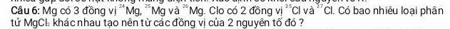 Mg có 3 đồng Vj^(24)N Mg. *Mg và 'Mg. Clo có 2 đồng vi^(35)Clva^(37) Cl. Có bao nhiêu loại phân 
tử MgCL khác nhau tạo nên từ các đồng vị của 2 nguyên tổ đó ?