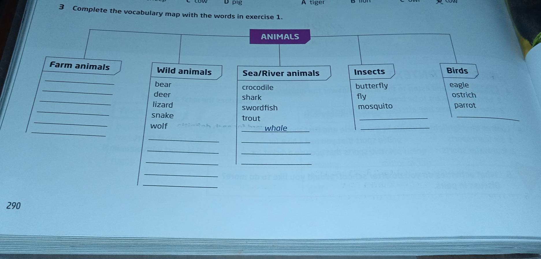 pig A tiger
3 Complete the vocabulary map with the words in exercise 1.
ANIMALS
_
Farm animals Wild animals Sea/River animals Insects Birds
_
bear crocodile butterfly eagle
_
deer fly ostrich
shark
_
lizard parrot
swordfish mosquito
_
_
snake trout
_
_
wolf
whale
_
_
_
_
_
_
_
_
_
290