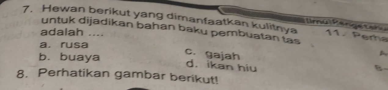 Hewan berikut yang dimanfaatkan kulitnya 11. Perha
im u P eng e tan 
untuk dijadikan bahan baku pembuatan tas
adalah ....
a. rusa
b. buaya
c. gajah
d. ikan hiu
B
8. Perhatikan gambar berikut!