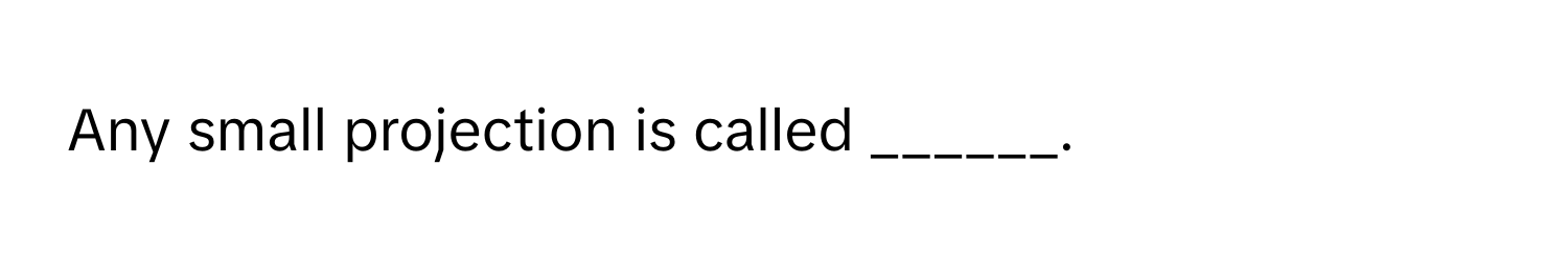 Any small projection is called ______.