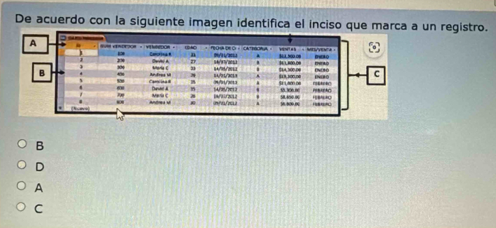 De acuerdo con la siguiente imagen identifica el inciso que marca a un registro.
B
D
A
C