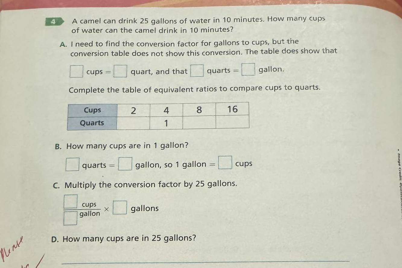 A camel can drink 25 gallons of water in 10 minutes. How many cups 
of water can the camel drink in 10 minutes? 
A. I need to find the conversion factor for gallons to cups, but the 
conversion table does not show this conversion. The table does show that
□ cups=□ quart, and that □ quarts =□ gallon
Complete the table of equivalent ratios to compare cups to quarts. 
B. How many cups are in 1 gallon? 
:
□ quarts =□ gallon, so 1 gallon =□ cups 
C. Multiply the conversion factor by 25 gallons.
 □ cups/□ gallon * □ gallons
D. How many cups are in 25 gallons? 
_