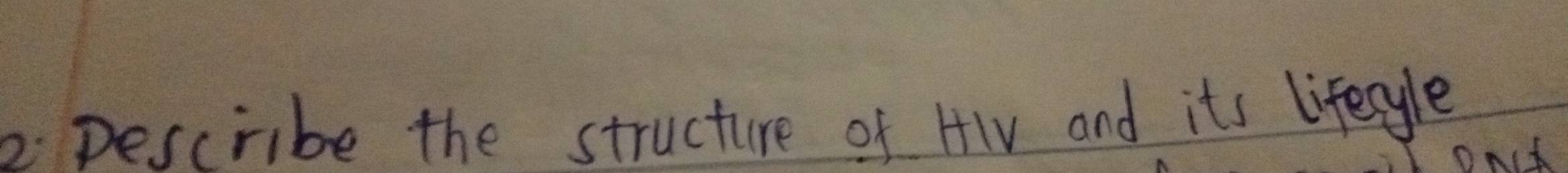 pescribe the structure of HIV and its lifecyle