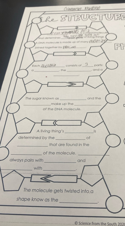 SRSTRUCTURE 
D 
[ 
a 
© Science from the South 202