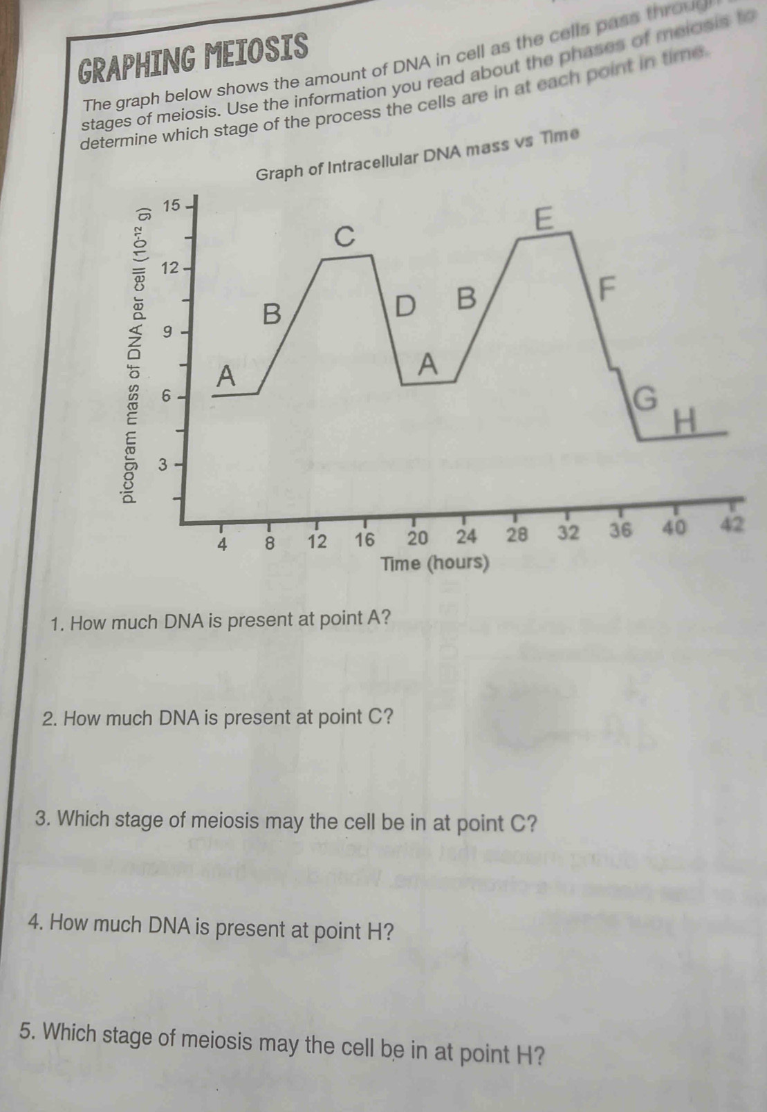 GRAPHING MEIOSIS The graph below shows the amount of DNA in cell as the ...