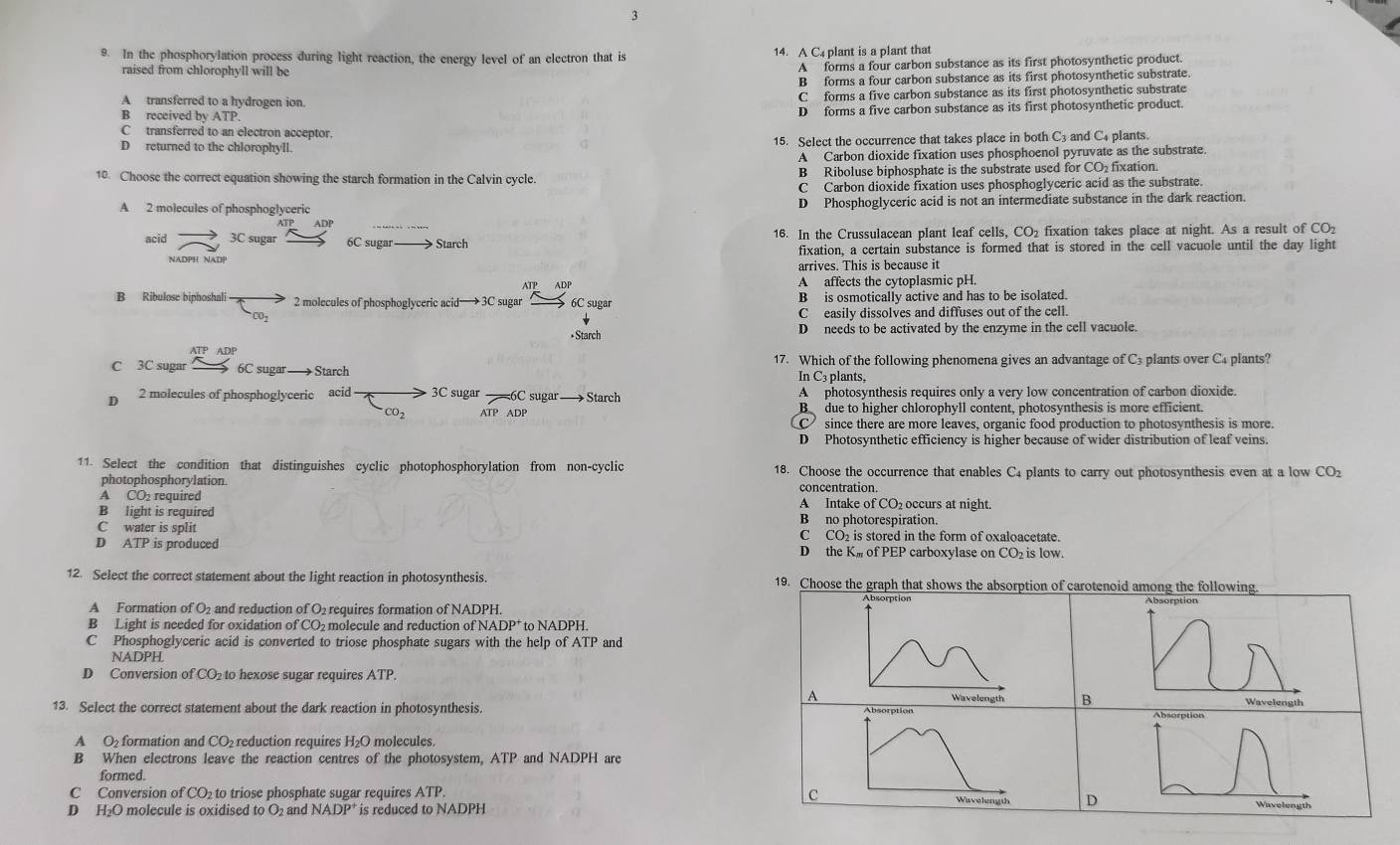 3
9. In the phosphorylation process during light reaction, the energy level of an electron that is 14. A C plant is a plant that
raised from chlorophyll will be
A forms a four carbon substance as its first photosynthetic product.
B forms a four carbon substance as its first photosynthetic substrate.
A transferred to a hydrogen ion. C forms a five carbon substance as its first photosynthetic substrate
B received by ATP. D forms a five carbon substance as its first photosynthetic product.
C  transferred to an electron acceptor.
D returned to the chlorophyll. 15. Select the occurrence that takes place in both C3 and C4 plants.
A Carbon dioxide fixation uses phosphoenol pyruvate as the substrate.
10. Choose the correct equation showing the starch formation in the Calvin cycle. B Riboluse biphosphate is the substrate used for CO₂ fixation.
C Carbon dioxide fixation uses phosphoglyceric acid as the substrate.
A 2 molecules of phosphoglyceric D Phosphoglyceric acid is not an intermediate substance in the dark reaction.
ADP
acid 3C sugar 6C sugar —— Starch 16. In the Crussulacean plant leaf cells, CO₂ fixation takes place at night. As a result of CO₂
NADPH NADP fixation, a certain substance is formed that is stored in the cell vacuole until the day light
arrives. This is because it
ATP ADP A affects the cytoplasmic pH.
B Ribulose biphoshali 2 molecules of phosphoglyceric acid→→ 3C sugar 6C sugar B is osmotically active and has to be isolated.
C easily dissolves and diffuses out of the cell.
•Starch D needs to be activated by the enzyme in the cell vacuole.
ATP ADP
C 3C sugar 6C sugar Starch 17. Which of the following phenomena gives an advantage of C3 plants over C. plants?
In C3 plants,
。 2 molecules of phosphoglyceric acid 3C sugar ——6C sugar—→ Starch A photosynthesis requires only a very low concentration of carbon dioxide.
CO_2 ATP ADP B due to higher chlorophyll content, photosynthesis is more efficient.
C since there are more leaves, organic food production to photosynthesis is more.
D Photosynthetic efficiency is higher because of wider distribution of leaf veins.
11. Select the condition that distinguishes cyclic photophosphorylation from non-cyclic 18. Choose the occurrence that enables C4 plants to carry out photosynthesis even at a low CO_2
photophosphorylation. concentration.
A CO2 required A Intake of CO₂ occurs at night.
B light is required B no photorespiration.
C water is split C CO₂ is stored in the form of oxaloacetate.
D ATP is produced D the K of PEP carboxylase on CO₂ is low.
12. Select the correct statement about the light reaction in photosynthesis. 19. Choose the graph that shows the absorption of carotenoid among the following.
Absorption
A Formation of O2 and reduction of O₂ requires formation of NADPH.
B Light is needed for oxidation of CO₂ molecule and reduction of NADP to NADPH.
C Phosphoglyceric acid is converted to triose phosphate sugars with the help of ATP and
NADPH
D Conversion of CO₂ to hexose sugar requires ATP.
A Wavelength B
13. Select the correct statement about the dark reaction in photosynthesis. Wavelength
A O₂ formation and CO₂ reduction requires H₂O molecules.
B When electrons leave the reaction centres of the photosystem, ATP and NADPH are
formed.
C Wavelength D
C Conversion of CO₂ to triose phosphate sugar requires ATP. Wavelength
D H₂O molecule is oxidised to O₂ and NADP^+ is reduced to NADPH