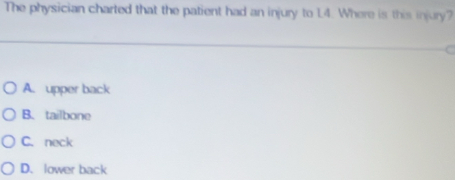 The physician charted that the patient had an injury to 1.4. Where is this injury?
A. upper back
B. tailbone
C. neck
D. lower back