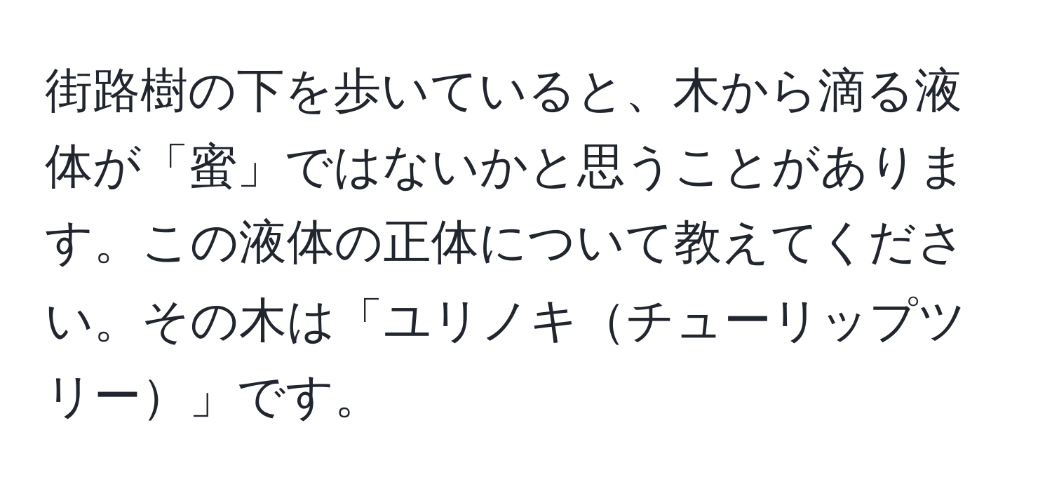 街路樹の下を歩いていると、木から滴る液体が「蜜」ではないかと思うことがあります。この液体の正体について教えてください。その木は「ユリノキチューリップツリー」です。