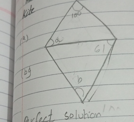 kite
100
(a ) a
61
g 
b 
arfect solution