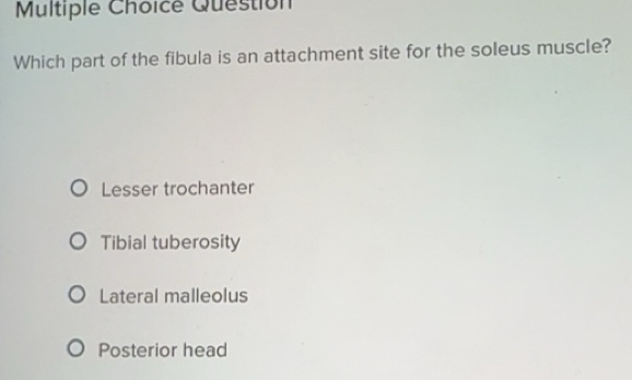 Solved: Question Which part of the fibula is an attachment site for the ...