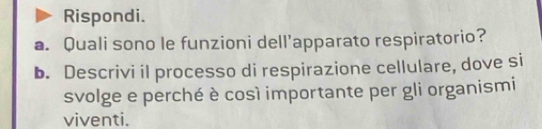 Rispondi. 
a. Quali sono le funzioni dell’apparato respiratorio? 
b. Descrivi il processo di respirazione cellulare, dove si 
svolge e perché è così importante per gli organismi 
viventi.