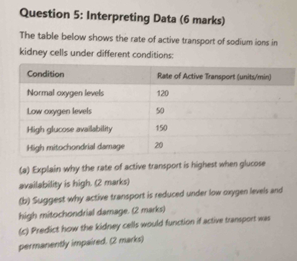 Interpreting Data (6 marks) 
The table below shows the rate of active transport of sodium ions in 
kidney cells under different conditions: 
(a) Explain why the rate of active transport is highest when glucose 
availability is high. (2 marks) 
(b) Suggest why active transport is reduced under low oxygen levels and 
high mitochondrial damage. (2 marks) 
(c) Predict how the kidney cells would function if active transport was 
permanently impaired. (2 marks)