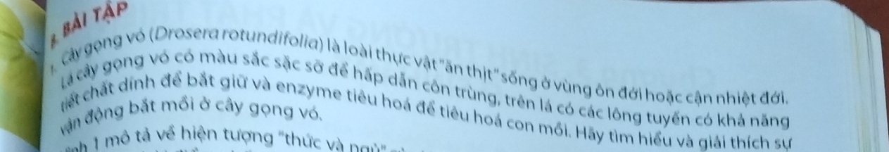 Bà i t ận 
cây gọng vó (Drosera rotundifolia) là loài thực vật "ăn thịt" sống ở vùng ôn đới hoặc cận nhiệt đới 
Lá cây gọng vó có màu sắc sặc sỡ để hấp dẫn côn trùng, trên lá có các lông tuyến có khả năng 
vận động bắt mồi ở cây gọng vó, 
ciết chất dính để bắt giữ và enzyme tiêu hoá để tiêu hoá con mồi. Hãy tìm hiểu và giải thích sự 
* mô tả về hiện tượng "thức và gn