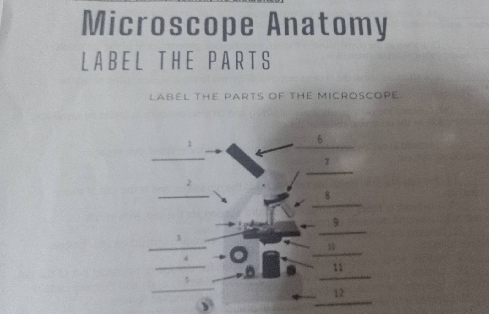 Solved: Microscope Anatomy LABEL THE PARTS LABEL THE PARTS OF THE ...