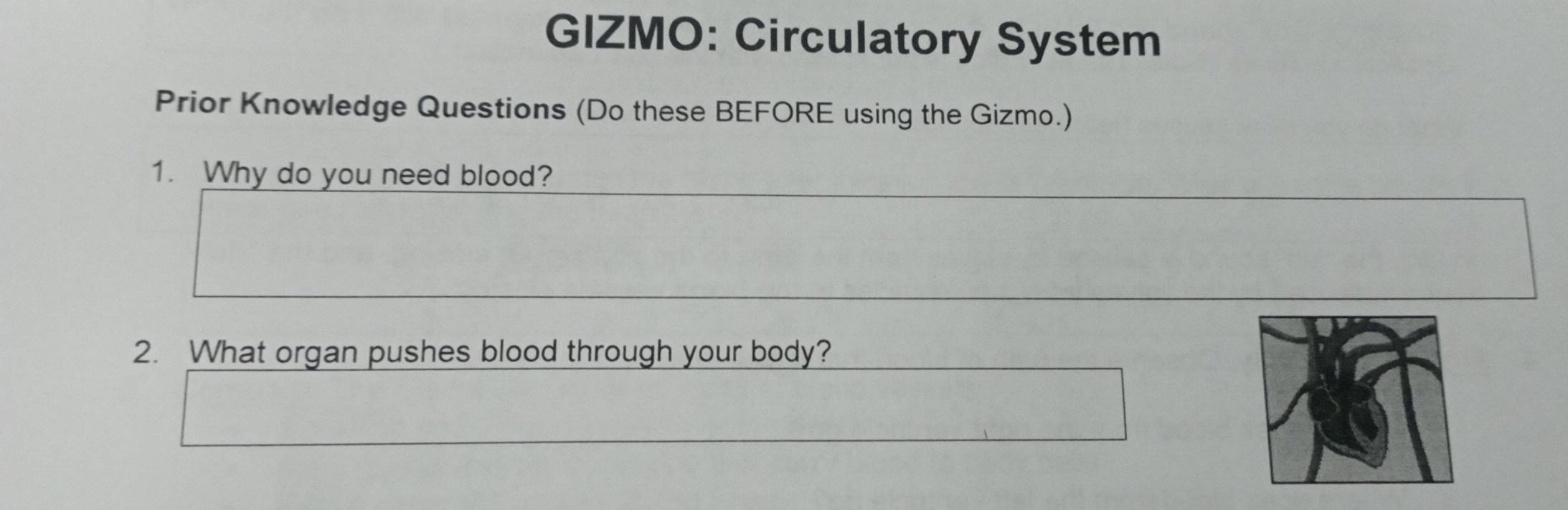 GIZMO: Circulatory System 
Prior Knowledge Questions (Do these BEFORE using the Gizmo.) 
1. Why do you need blood? 
2. What organ pushes blood through your body?