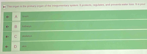 This organ is the primary organ of the integumentary system. It protects, regulates, and prevents water loss. It is your
A brain
B ludneys
C skeleton
skin