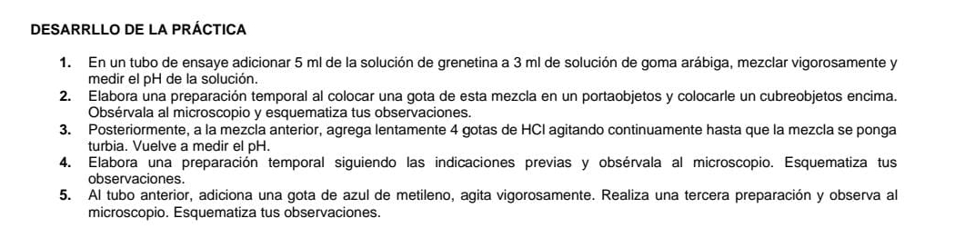 DESARRLLO DE LA PRÁCTICA 
1. En un tubo de ensaye adicionar 5 ml de la solución de grenetina a 3 ml de solución de goma arábiga, mezclar vigorosamente y 
medir el pH de la solución. 
2. Elabora una preparación temporal al colocar una gota de esta mezcla en un portaobjetos y colocarle un cubreobjetos encima. 
Obsérvala al microscopio y esquematiza tus observaciones. 
3. Posteriormente, a la mezcla anterior, agrega lentamente 4 gotas de HCl agitando continuamente hasta que la mezcla se ponga 
turbia. Vuelve a medir el pH. 
4. Elabora una preparación temporal siguiendo las indicaciones previas y obsérvala al microscopio. Esquematiza tus 
observaciones. 
5. Al tubo anterior, adiciona una gota de azul de metileno, agita vigorosamente. Realiza una tercera preparación y observa al 
microscopio. Esquematiza tus observaciones.