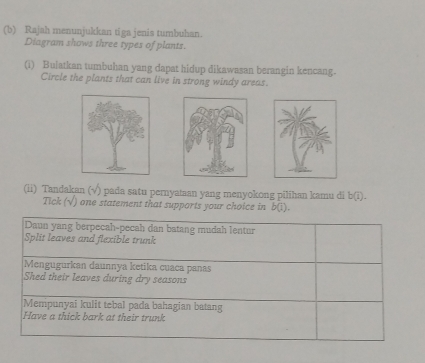 Selesai:Rajah menunjukkan tiga jenis tumbuhan. Diagram shows three ...