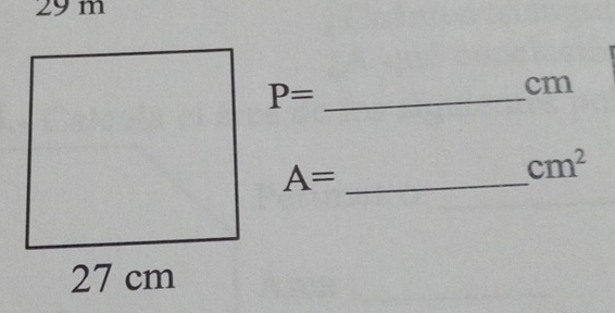 29m
P=
cm
_ A=
cm^2